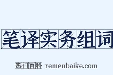 笔译实务组词是什么意思的图片
